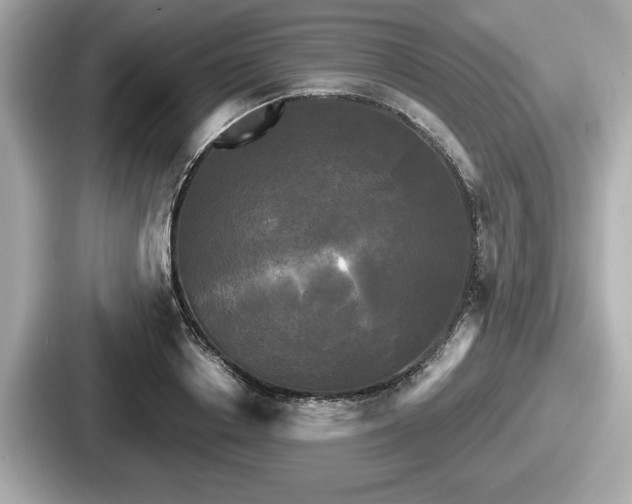 X0000087630842200705101026