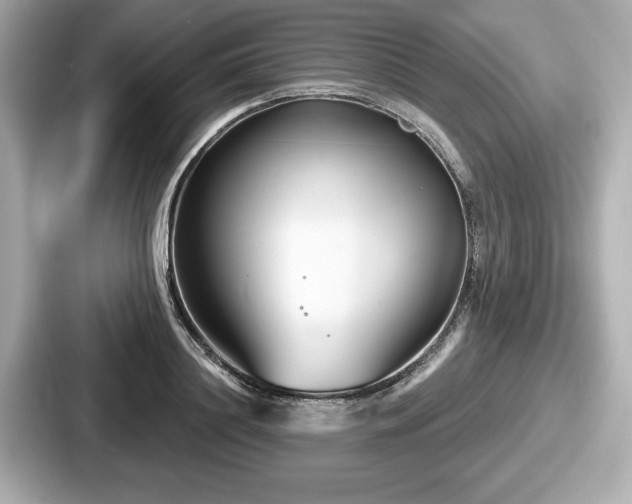 X0000087630844200705101026