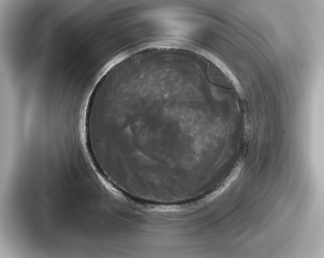 X0000087630845200705101026