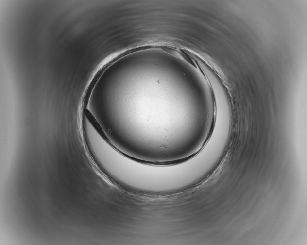 X0000087630846200705101026