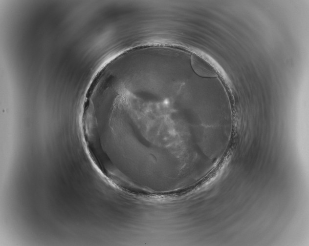 X0000087630847200705101026