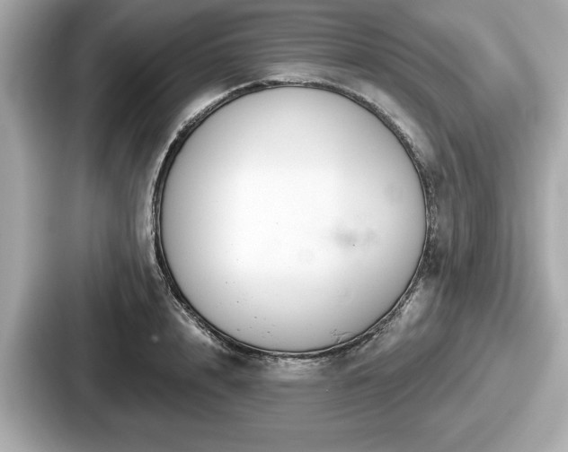 X0000087630848200705101026