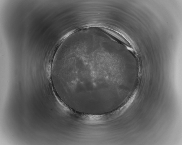 X0000087630849200705101026