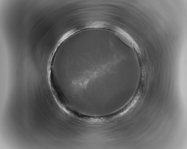 X0000087630850200705101026