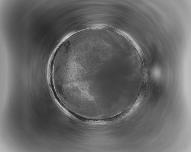 X0000087630851200705101026