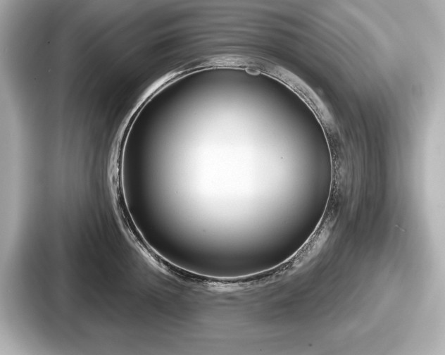 X0000087630852200705101026