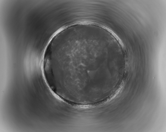 X0000087630853200705101026