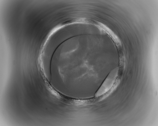 X0000087630854200705101026