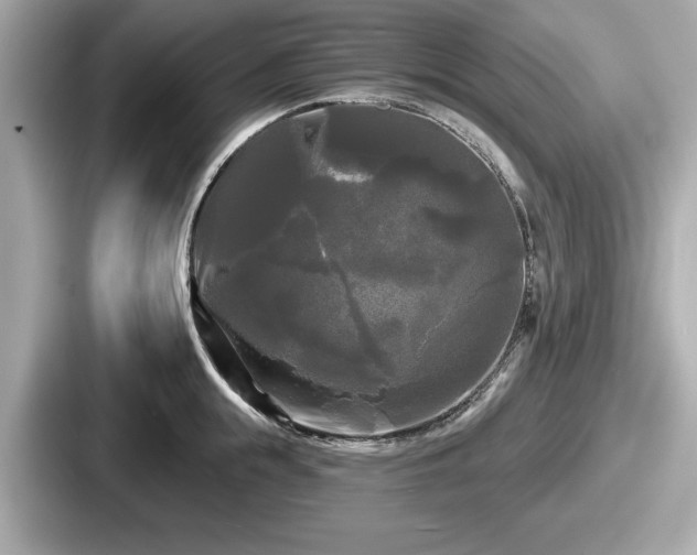 X0000087630855200705101026