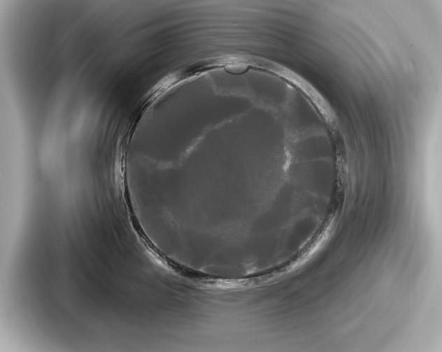 X0000087630857200705101026