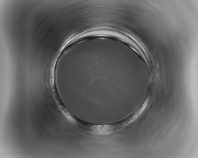 X0000087630858200705101026