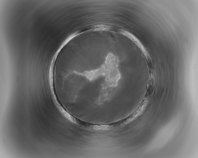 X0000087630859200705101026