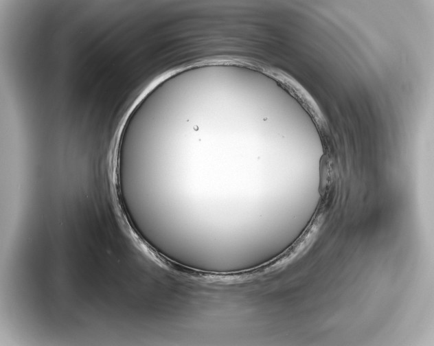 X0000087630860200705101026