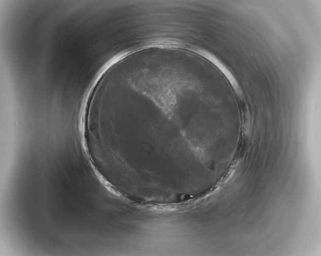 X0000087630861200705101026