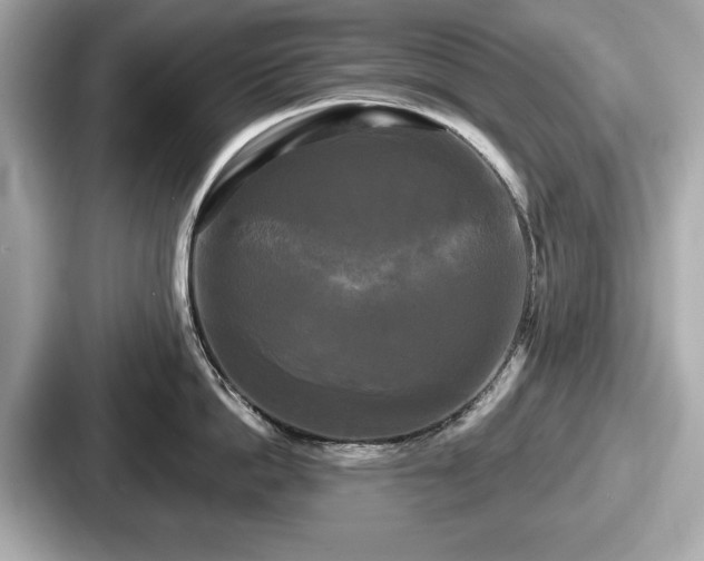 X0000087630862200705101026