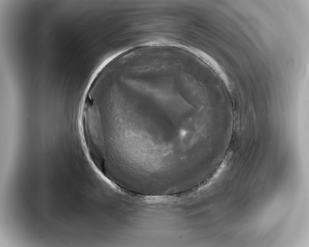 X0000087630863200705101026