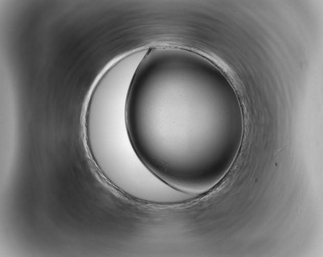 X0000087630864200705101026