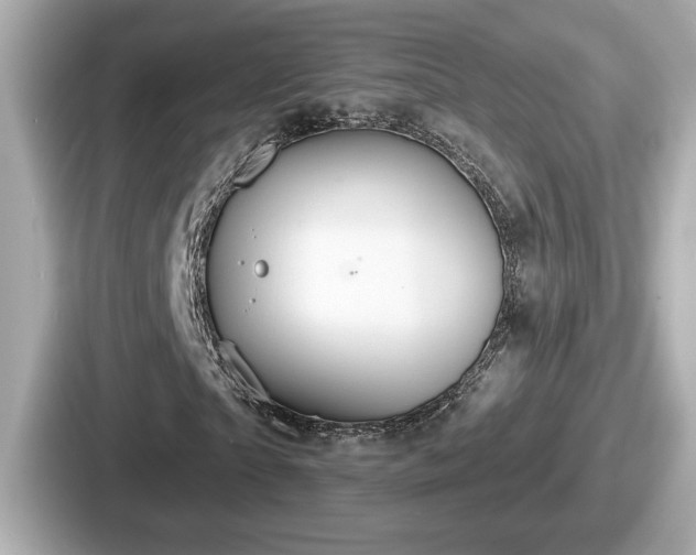 X0000087630865200705101026