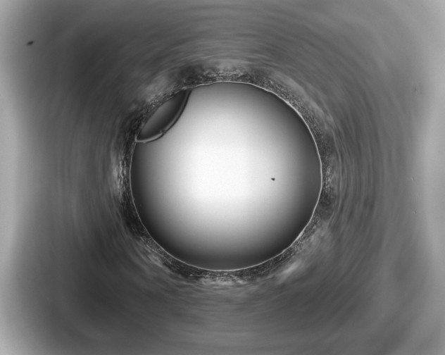 X0000087630866200705101026