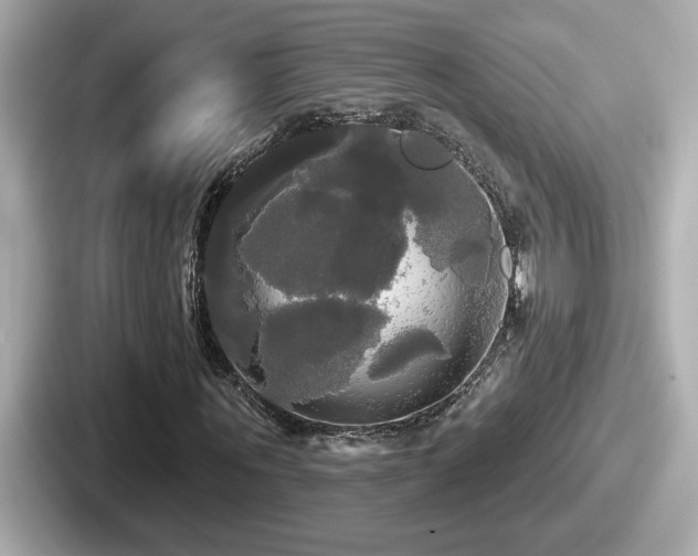 X0000087630867200705101026