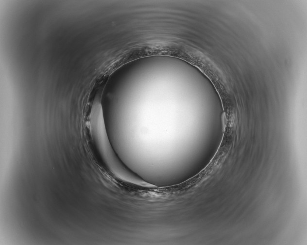 X0000087630868200705101026