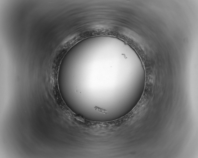 X0000087630869200705101026