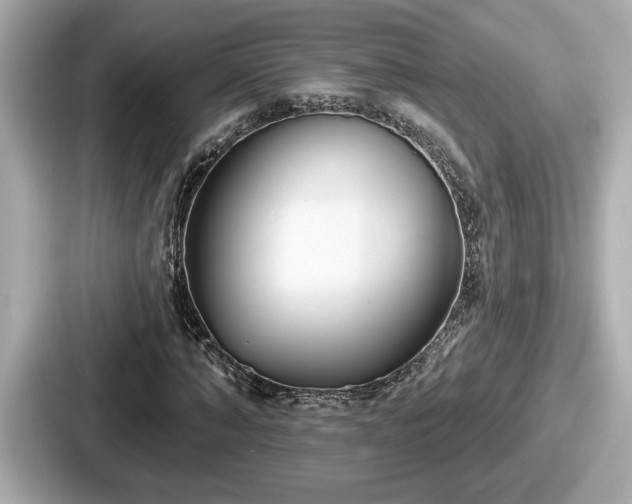 X0000087630870200705101025