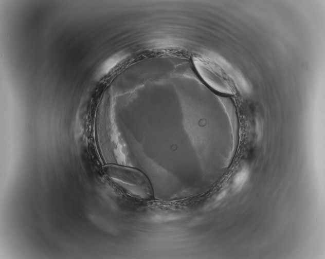 X0000087630871200705101025