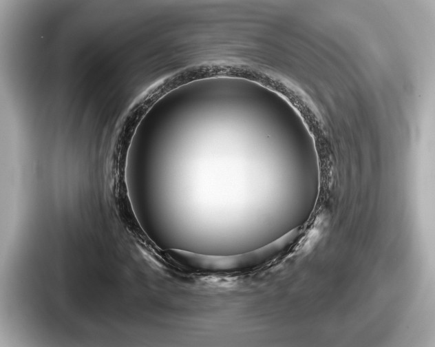 X0000087630872200705101025