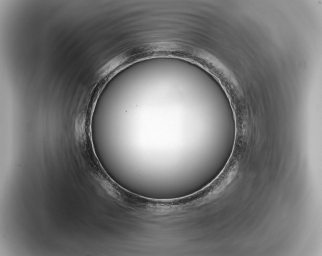 X0000087630873200705101025