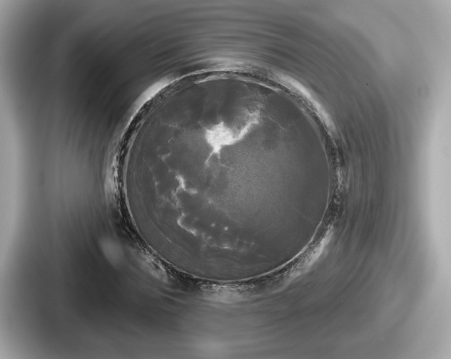 X0000087630875200705101025