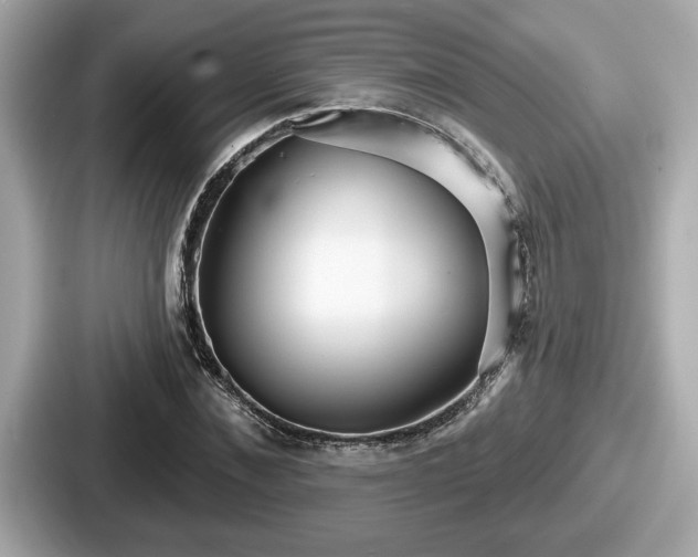 X0000087630876200705101025