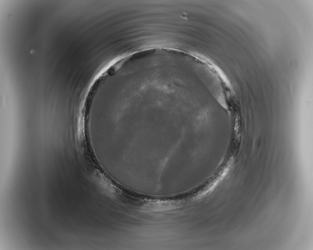 X0000087630877200705101025