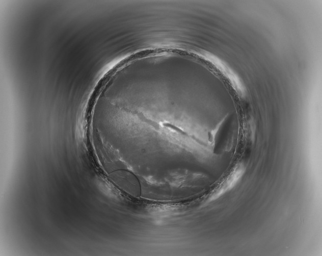 X0000087630879200705101025