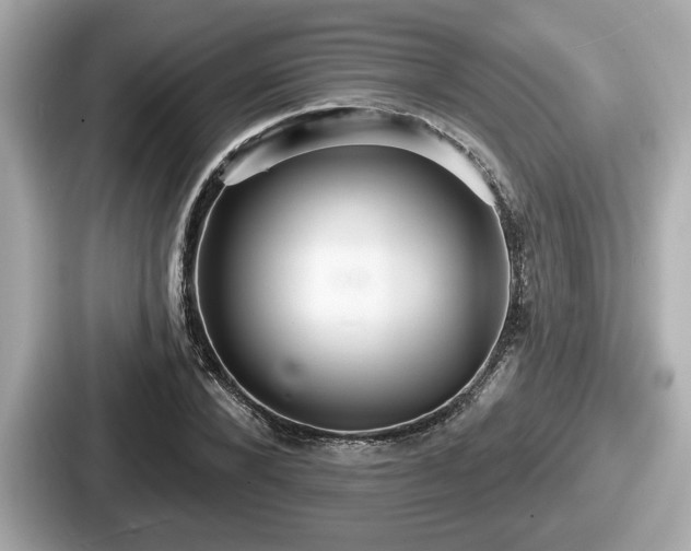 X0000087630880200705101025