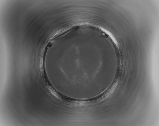 X0000087630881200705101025