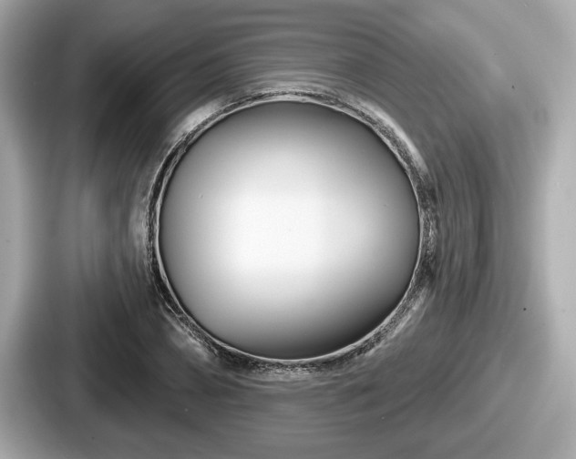 X0000087630882200705101025