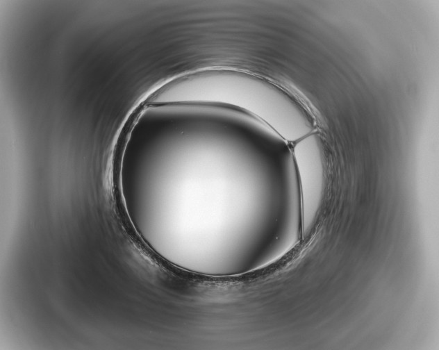 X0000087630884200705101025