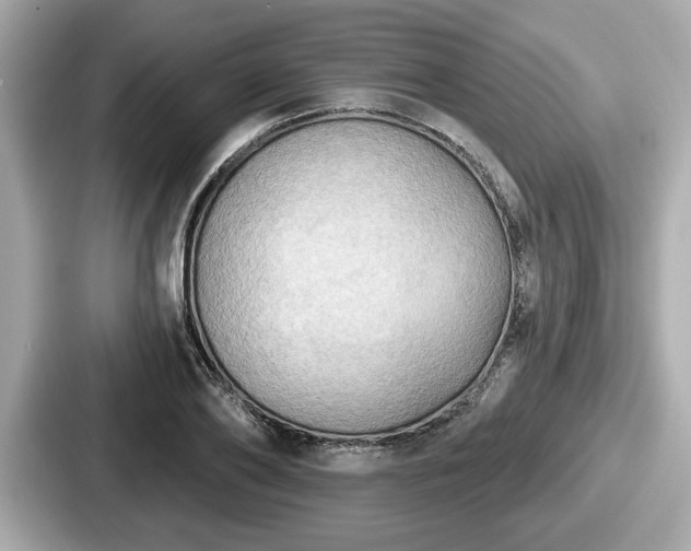 X0000087630886200705101025