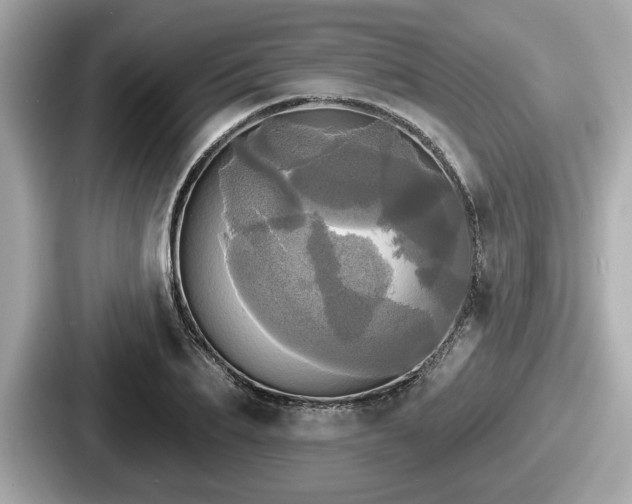 X0000087630887200705101025