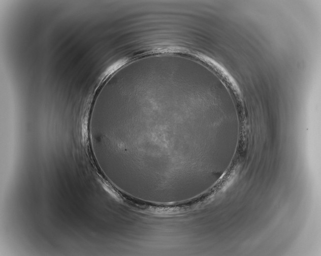 X0000087630889200705101025