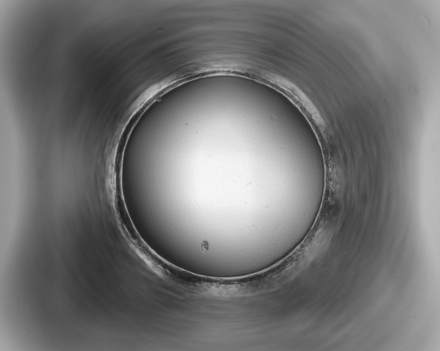 X0000087630890200705101025