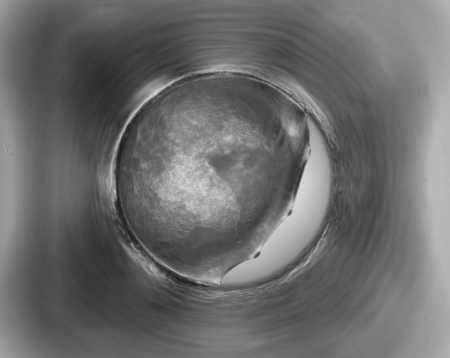 X0000087630892200705101025