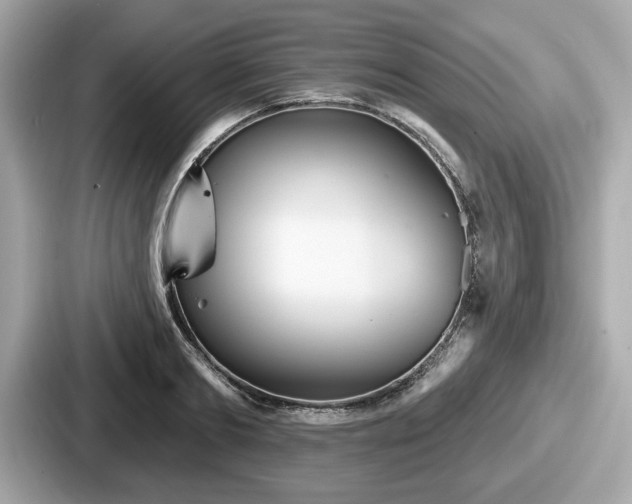 X0000087630893200705101025