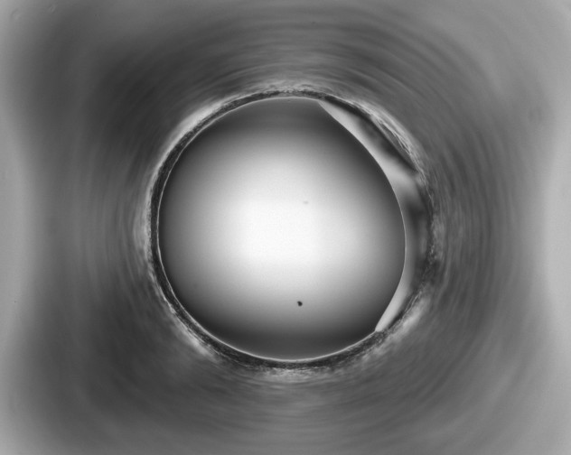 X0000087630894200705101025