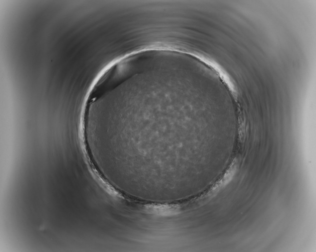 X0000087630896200705101025