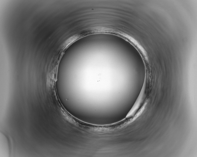 X0000087630897200705101025