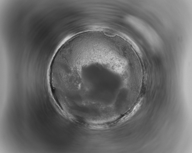 X0000087630899200705101025