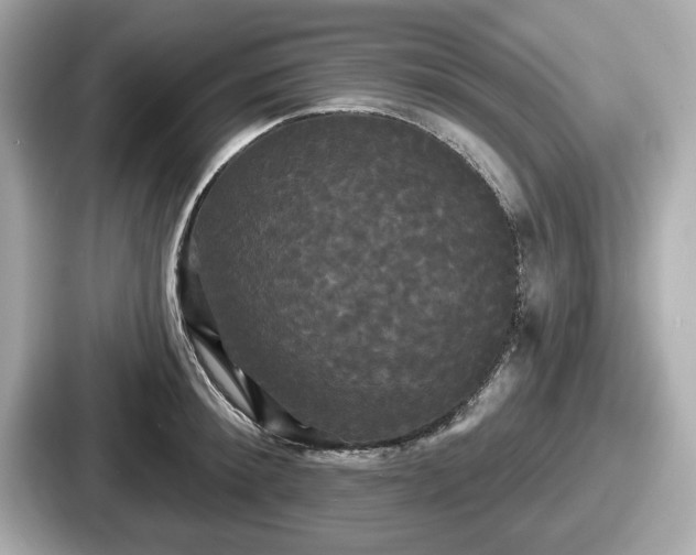 X0000087630900200705101025