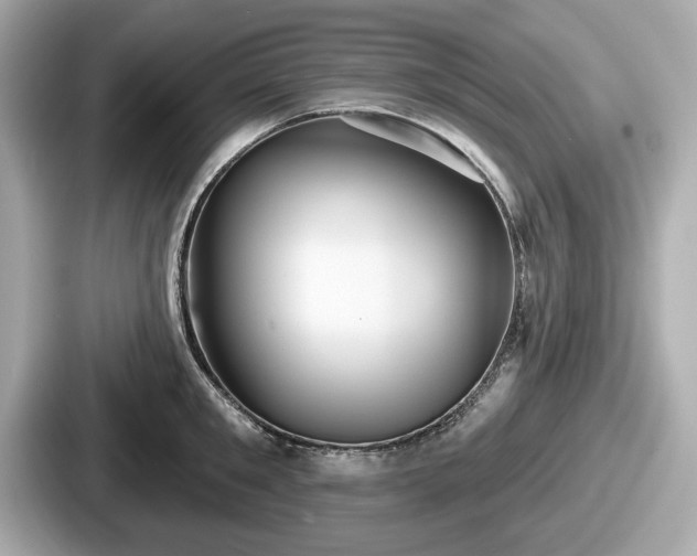 X0000087630901200705101025